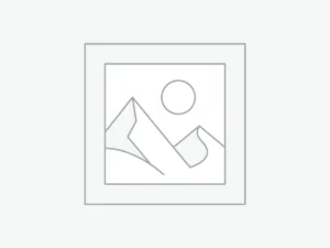 110VAC Baquelita negra